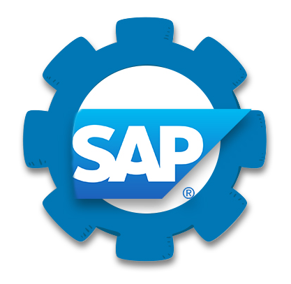 Sap Implementation Support